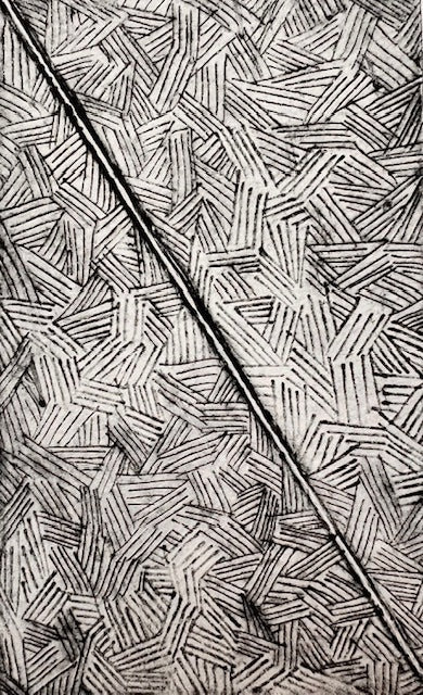 Printing | Drypoint Workshop | Don Geodbloed | Dec 6, 2025 | 10am - 3pm