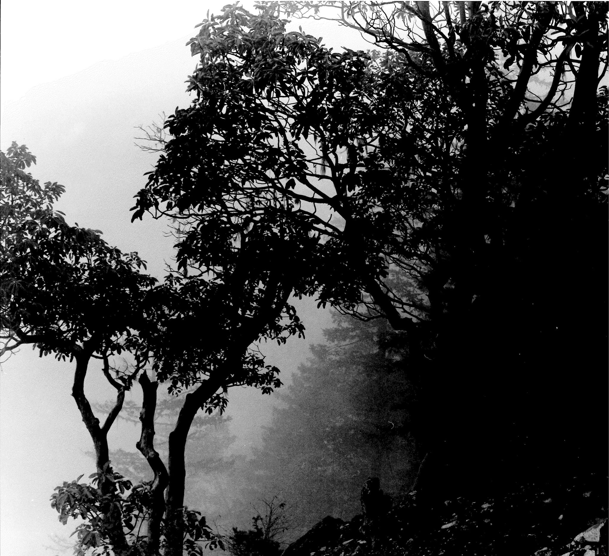 Photography |Black & White Film Photography Basics Workshop| Melinda Goetjen | Nov 29, Dec 6 and Dec 13, 2025 | 10am - 12pm