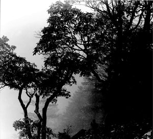 Photography |Black & White Film Photography Basics Workshop| Melinda Goetjen | Nov 29, Dec 6 and Dec 13, 2025 | 10am - 12pm