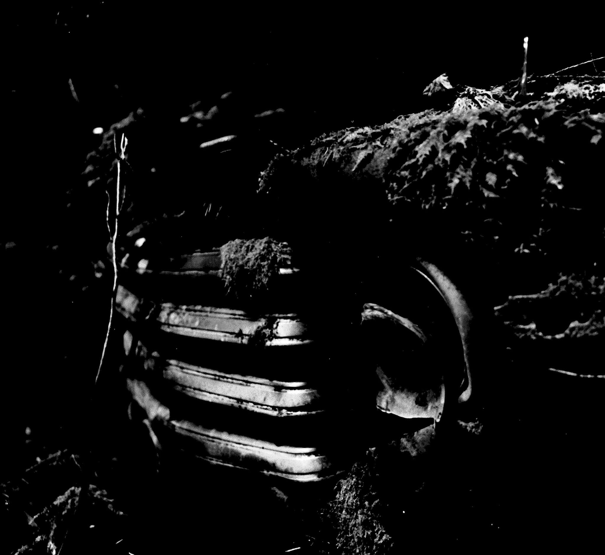 Photography |Black & White Film Photography Basics Workshop| Melinda Goetjen | Nov 29, Dec 6 and Dec 13, 2025 | 10am - 12pm