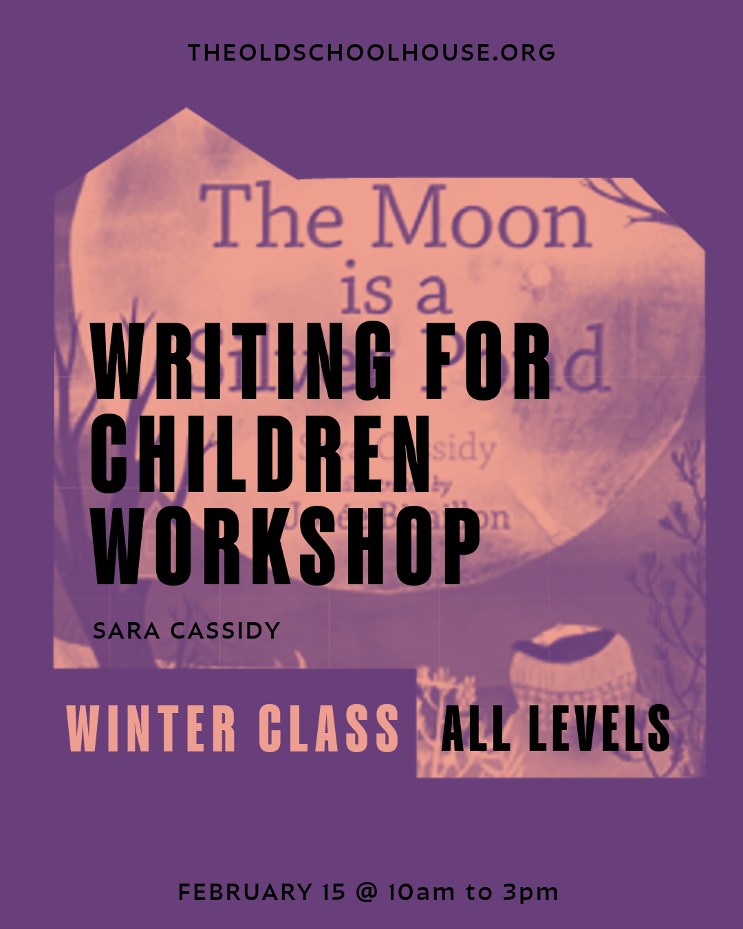 The Art of Writing for Children | Sara Cassidy | Feb 15, 2025 | 10am to 3pm