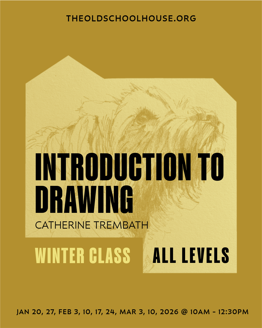 Introduction to Drawing | Catherine Trembath | Jan 20, 27, Feb 3, 10, 17, 24, Mar 3, 10, 2026 | 10am - 12:30pm