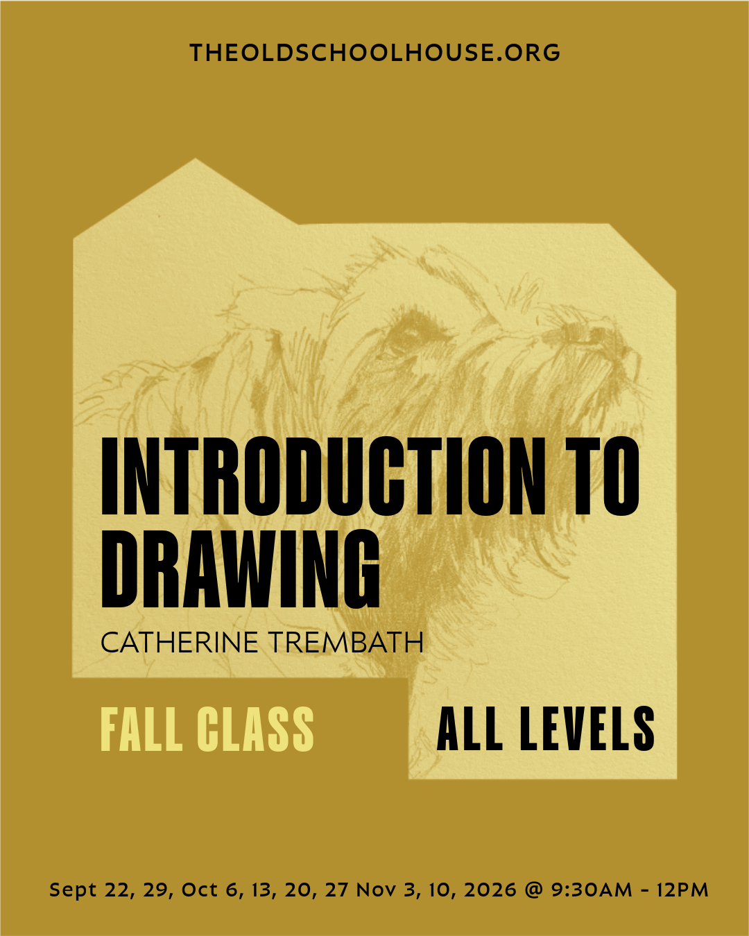 Introduction to Drawing | Catherine Trembath | Sept 22, 29, Oct 6, 13, 20, 27 Nov 3, 10, 2026 | 9:30AM - 12PM