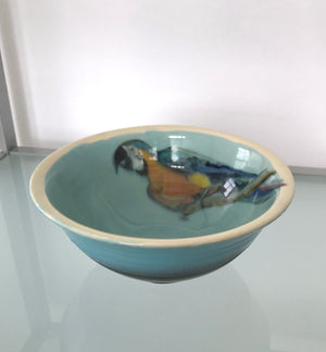 Linda Walton - Pottery - Parrot Bowl