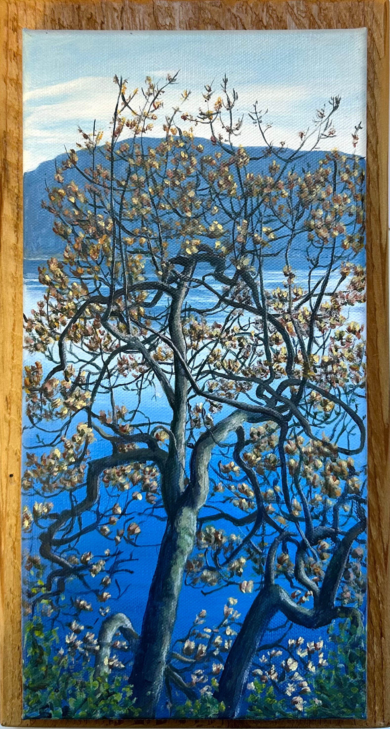 Susan Haigh - Painting - Spring Oak