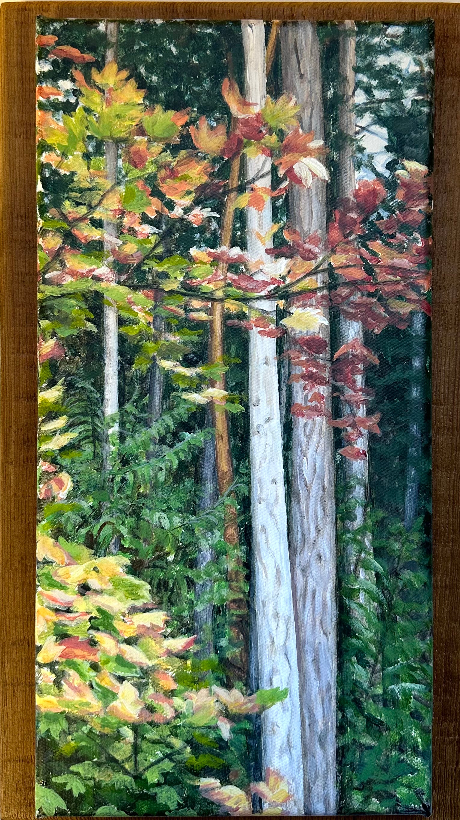 Susan Haigh - Painting - Gentle Forest