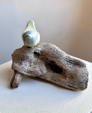 Heather Tobe - Ceramic - Ceramic Bird on Driftwood