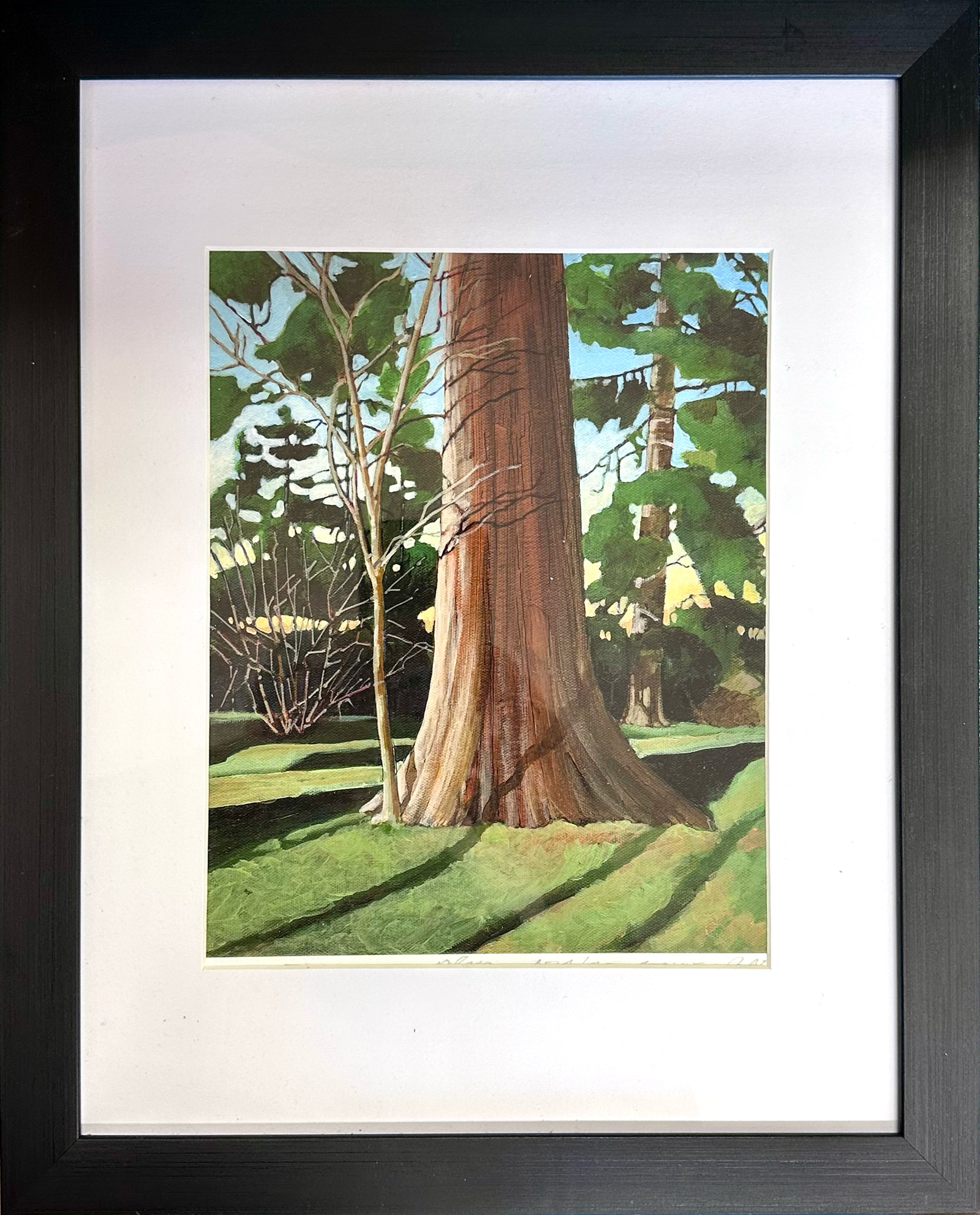 Richard Alm - Prints - Stanley Park