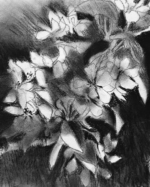 Abstracting a Still Life | Catherine Trembath | Dec 5, 2026 | 10am - 1pm