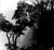Photography | Film Photography Basics | Melinda Goetjen | Oct 25, Nov 1, Nov 8, 2025 | 10am - 12pm