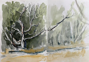 Plein Air Sketchbook & Urban Sketching Style | Dorota Goede | Sept 4 2026 | 10am - 1pm