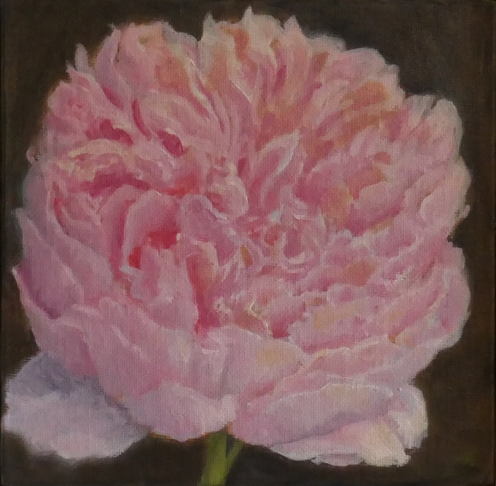 Leigh Buchanan - painting - Rosy