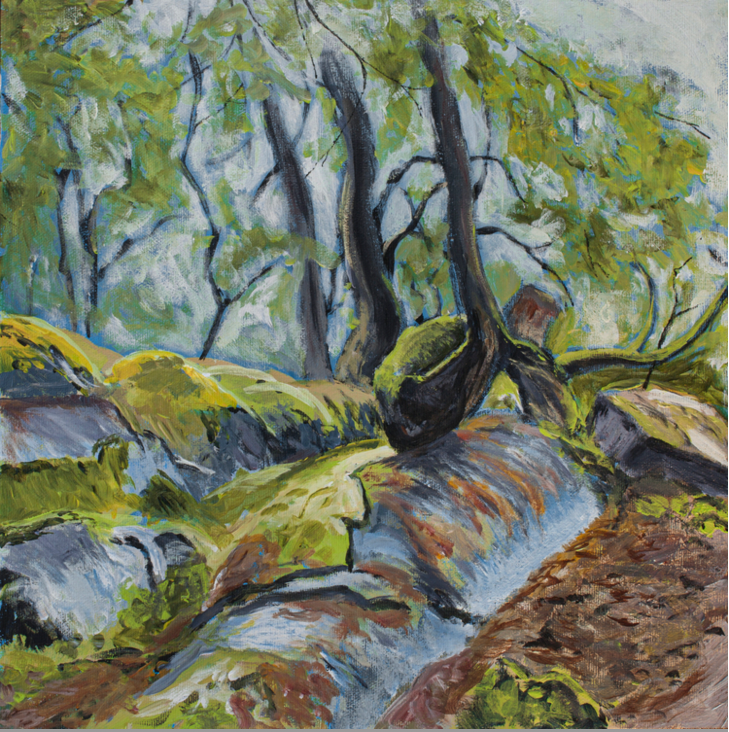 David Ballantyne - Painting - Coastal Forest