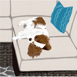 Sandra & Eryn Russell - Children's Book - Callie and Missy's Tiny Tale