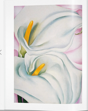 TASCHEN BOOKS - O'Keeffe (Basic Art Series)