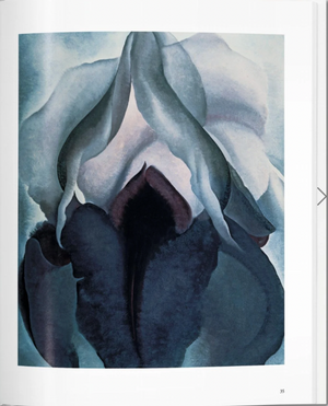 TASCHEN BOOKS - O'Keeffe (Basic Art Series)