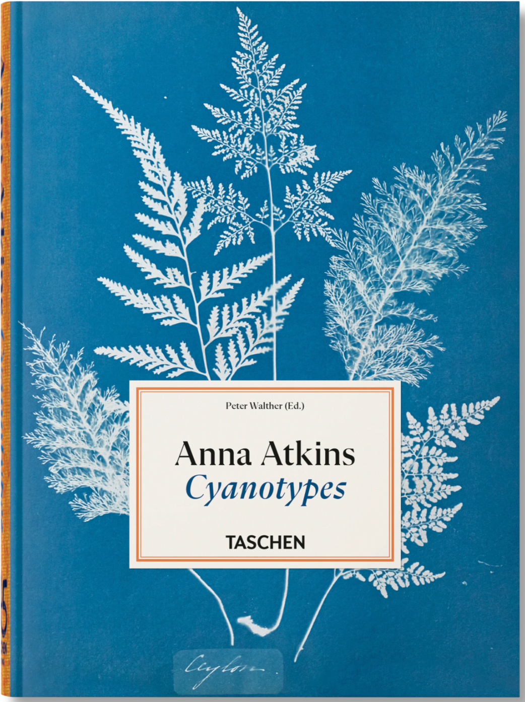 TASCHEN BOOKS - Anna Atkins Cyanotypes  45th Ed.