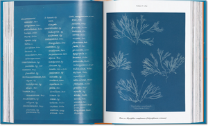 TASCHEN BOOKS - Anna Atkins Cyanotypes  45th Ed.