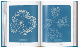 TASCHEN BOOKS - Anna Atkins Cyanotypes  45th Ed.
