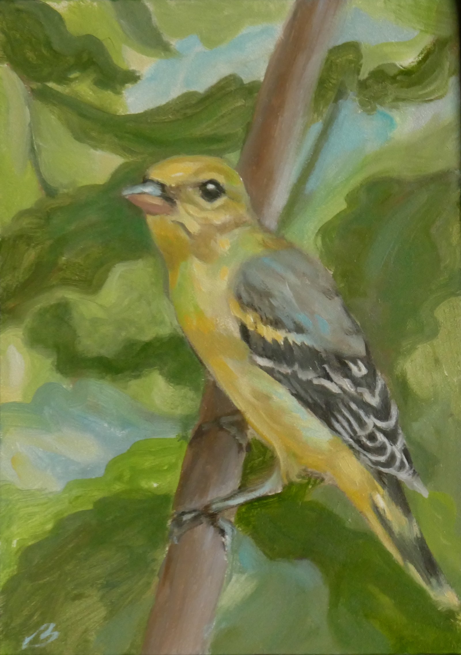 Leigh Buchanan - painting - Tanager in a Fig Tree