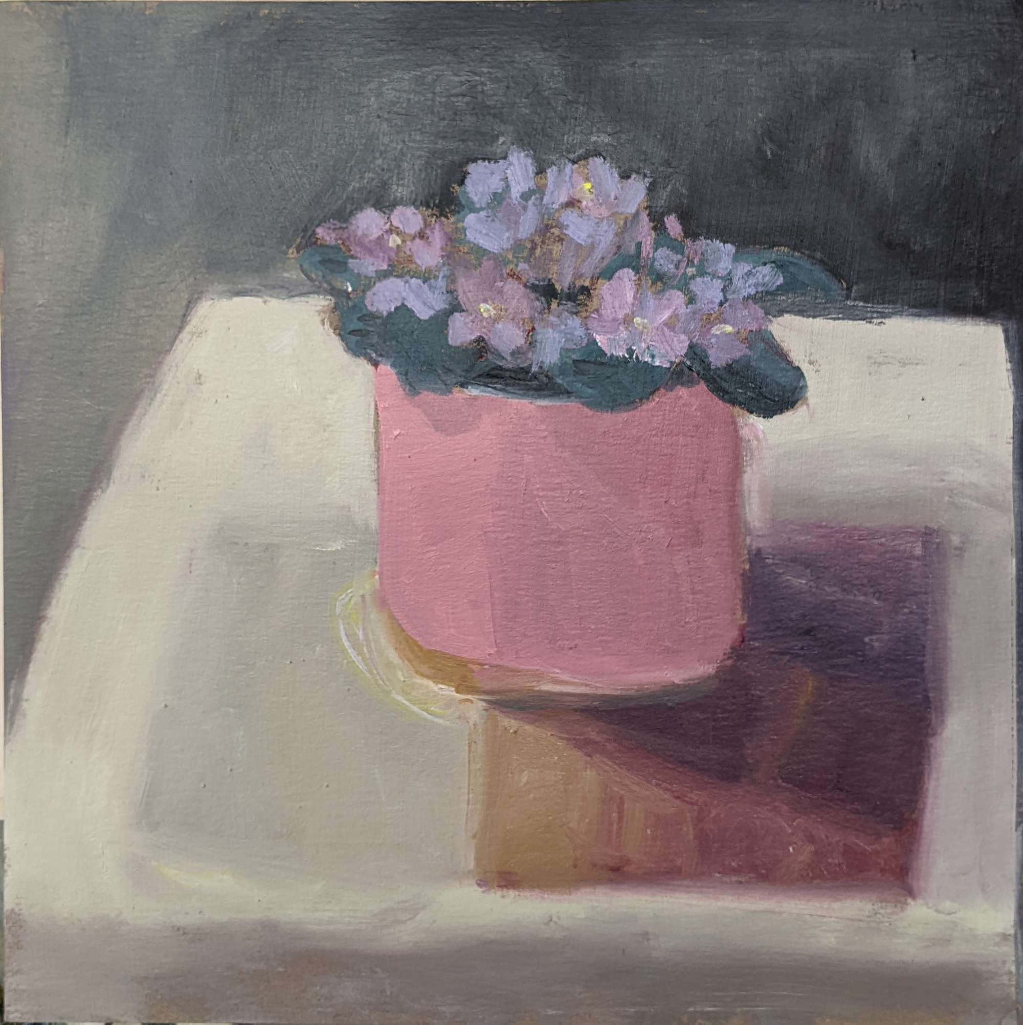 Heather McAllister - Oil painting - African Violet 1