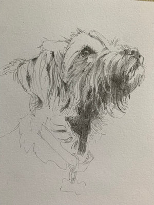 Introduction to Drawing | Catherine Trembath | Sept 22, 29, Oct 6, 13, 20, 27 Nov 3, 10, 2026 | 9:30AM - 12PM