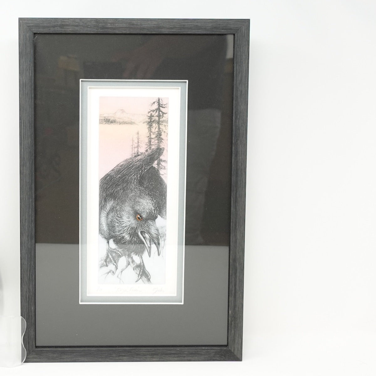 Perrin Sparks Portraits - etching - Ragin' Raven