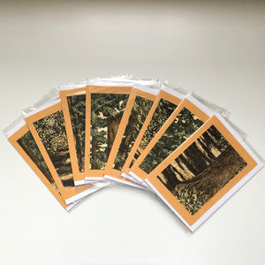 TOSH Cards - Rita Loehr - Original Gloaming Art Cards - Trees