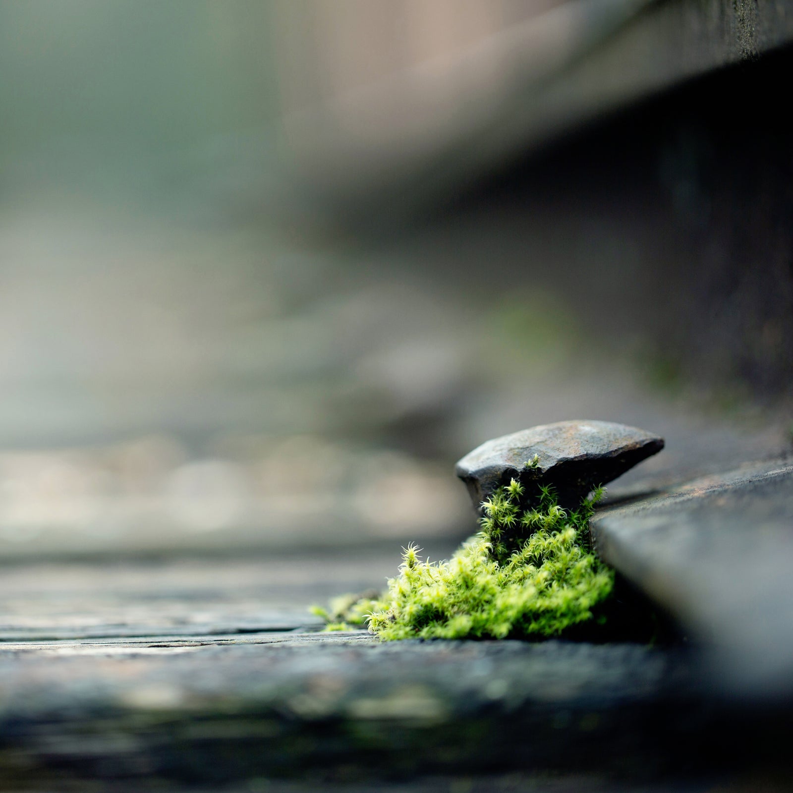 Jaime Brandel - Photography - Along the Tracks