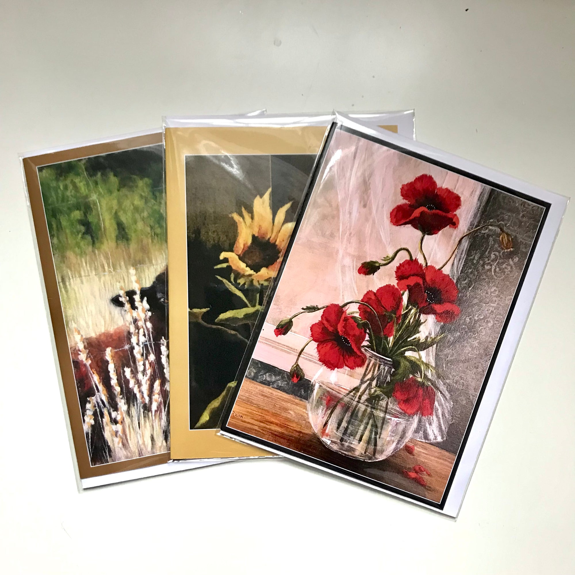 TOSH Cards - Janice Erwin - Colour Art Cards (various)