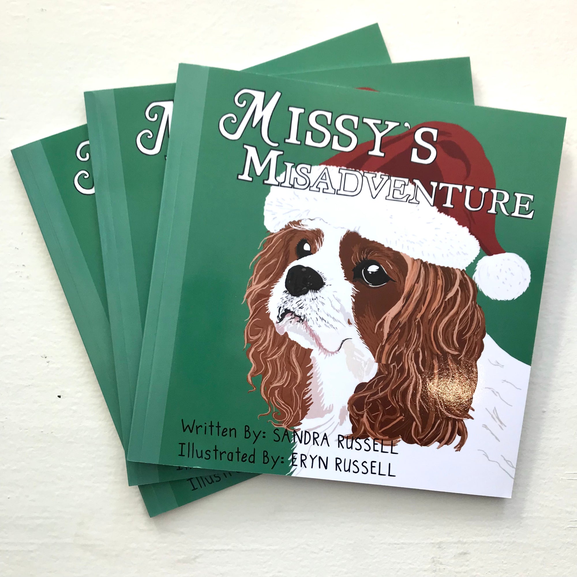 Sandra & Eryn Russell - Children's Book - Missy's Misadventure