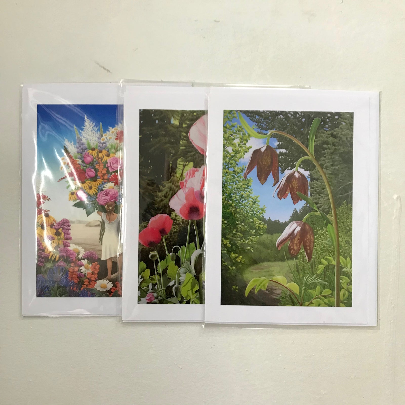 TOSH Cards - Susan Haigh - Cards Various