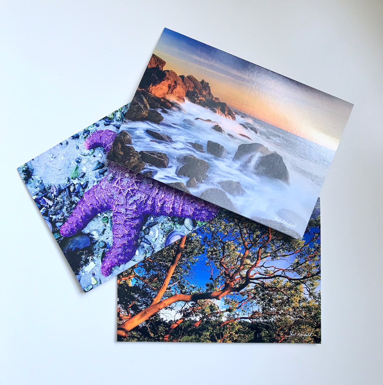 TOSH Cards - Shel Neufeld - Art Cards (various)