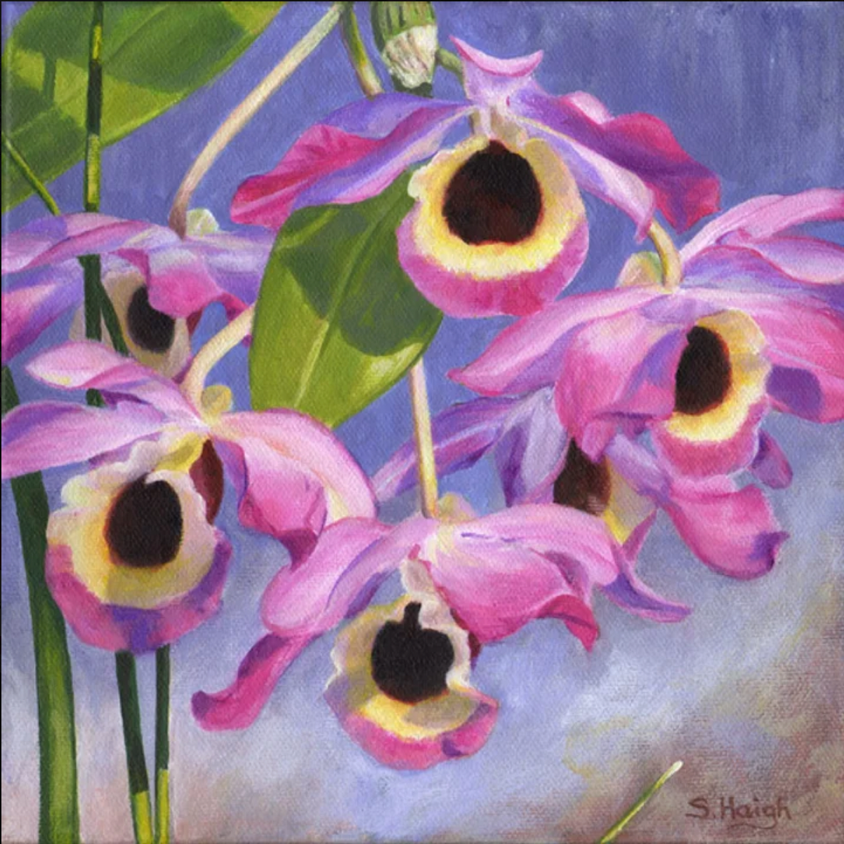 Susan Haigh - Painting - Dendrobium Nobile