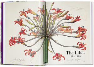 TASCHEN BOOKS - Redouté. The Book of Flowers - 45th Anniversary Edition