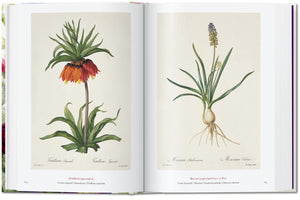 TASCHEN BOOKS - Redouté. The Book of Flowers - 45th Anniversary Edition